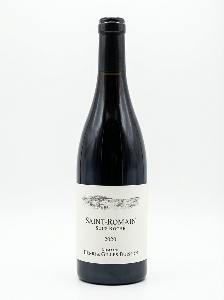 앙리 에 질 부아송 생 로맹 수 로슈 2020