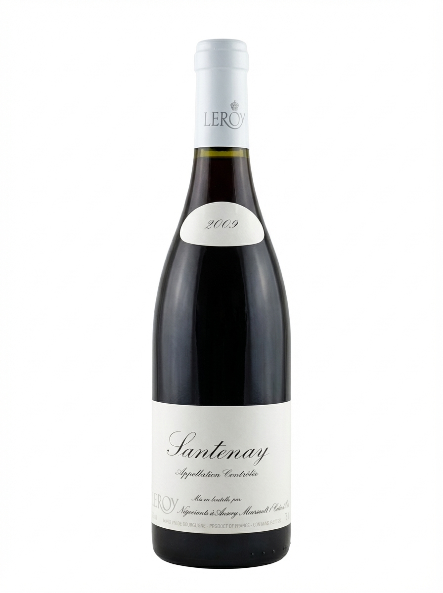 르루아 SA 상트네 2009