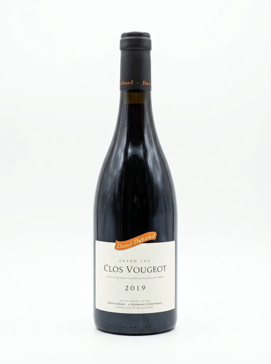 다비드 뒤방 클로 부조 2019