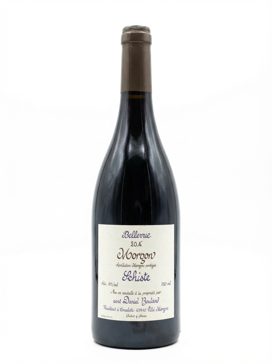 다니엘 불랑 모르공 벨 뷔 쉬스트 2016