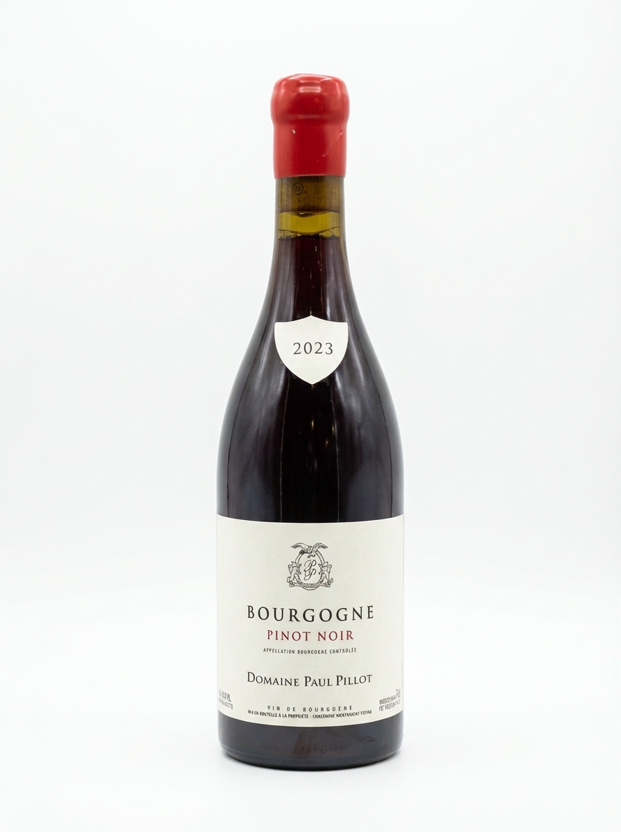 폴 삐욜 부르고뉴 피노 누아 2023