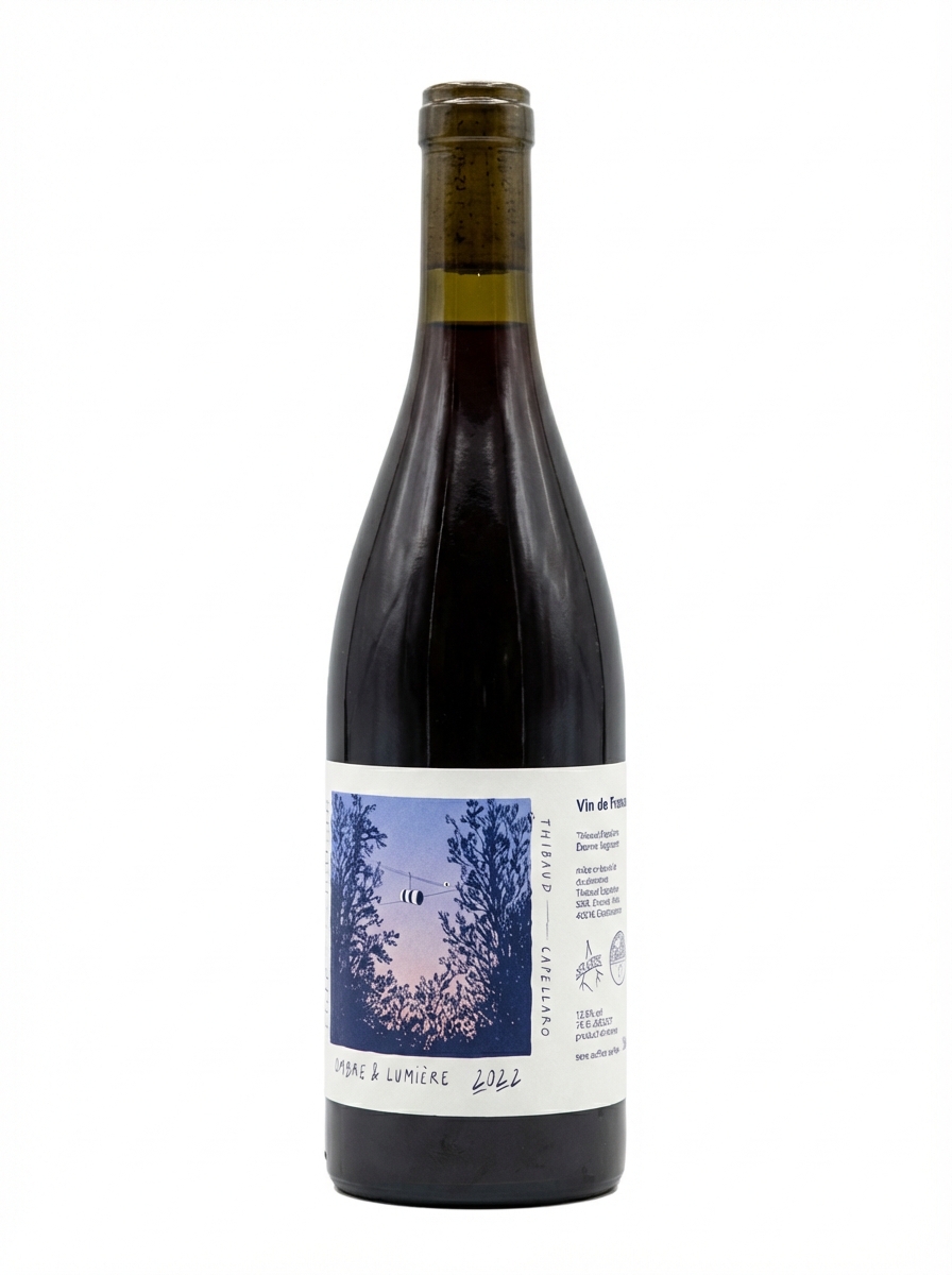 Thibaud Capellaro et Etienne Seignovert Ombre et Lumière 2022