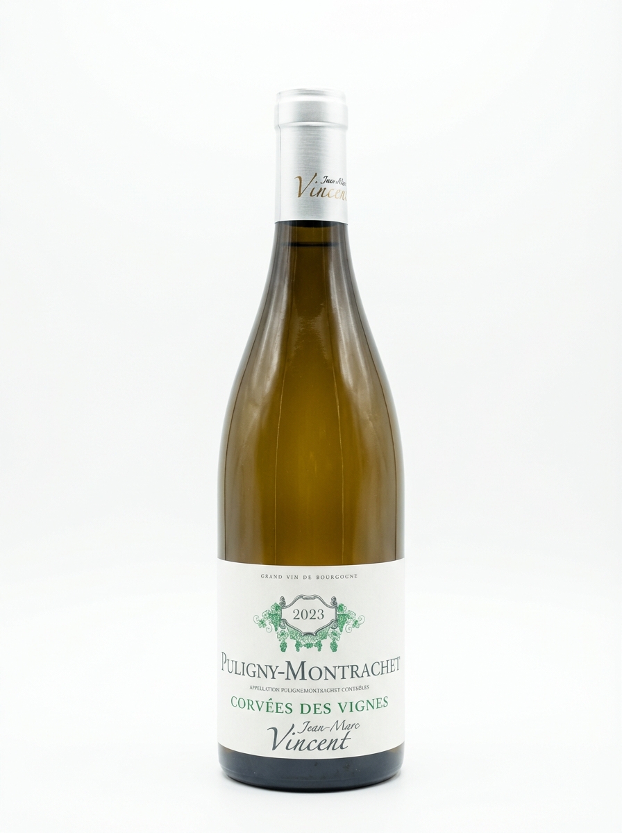 장 마르크 뱅상 퓔리니 몽라셰 코르베 데 비뉴 2023