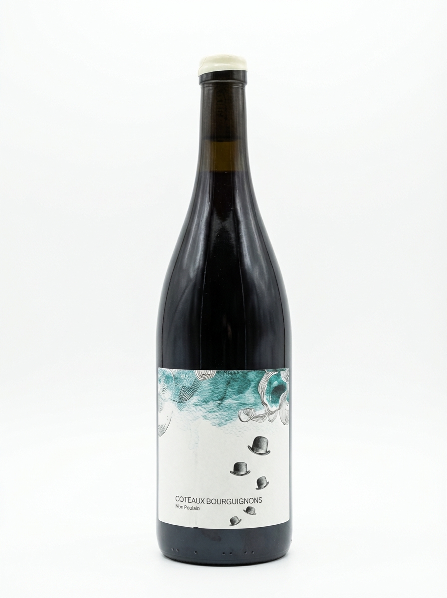 레 조레 코토 부르고뉴 몽 풀랭 2020