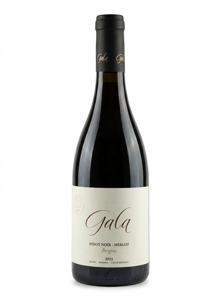 갈라 베르그루스 2023