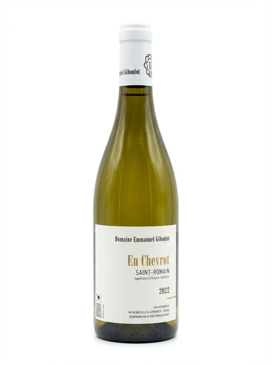 엠마뉴엘 지불로 생 로맹 엉 슈브로 2022