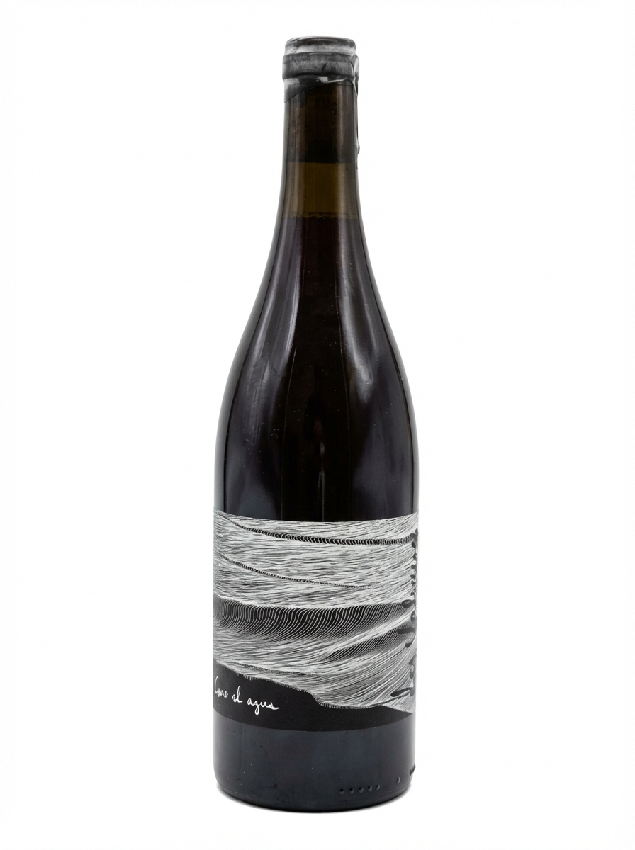 레 발쇠즈 코모 엘 아구아 2020