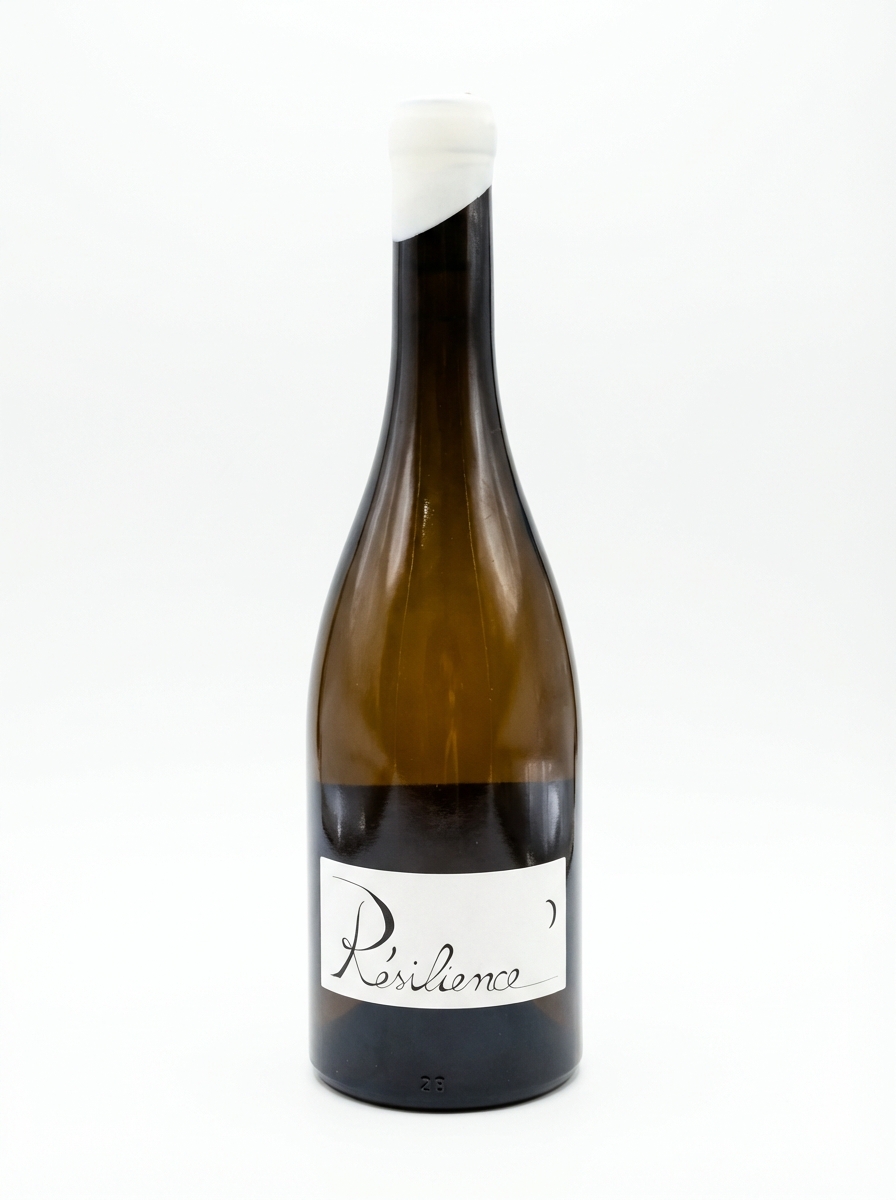 질 베를리오즈 쉬냉 베르주롱 레질리앙스 2023