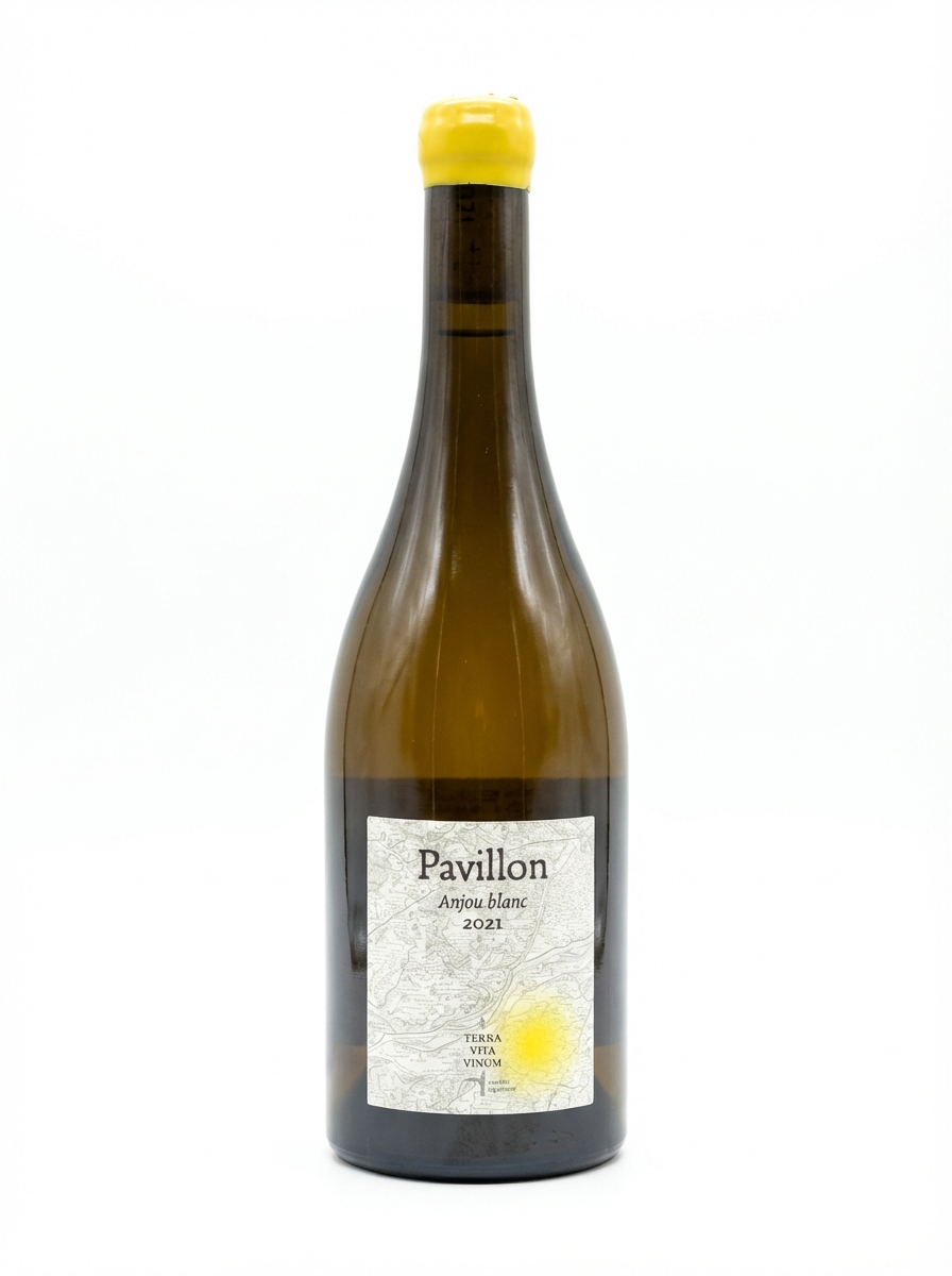 테라 비타 비눔 앙주 파빌론 2021