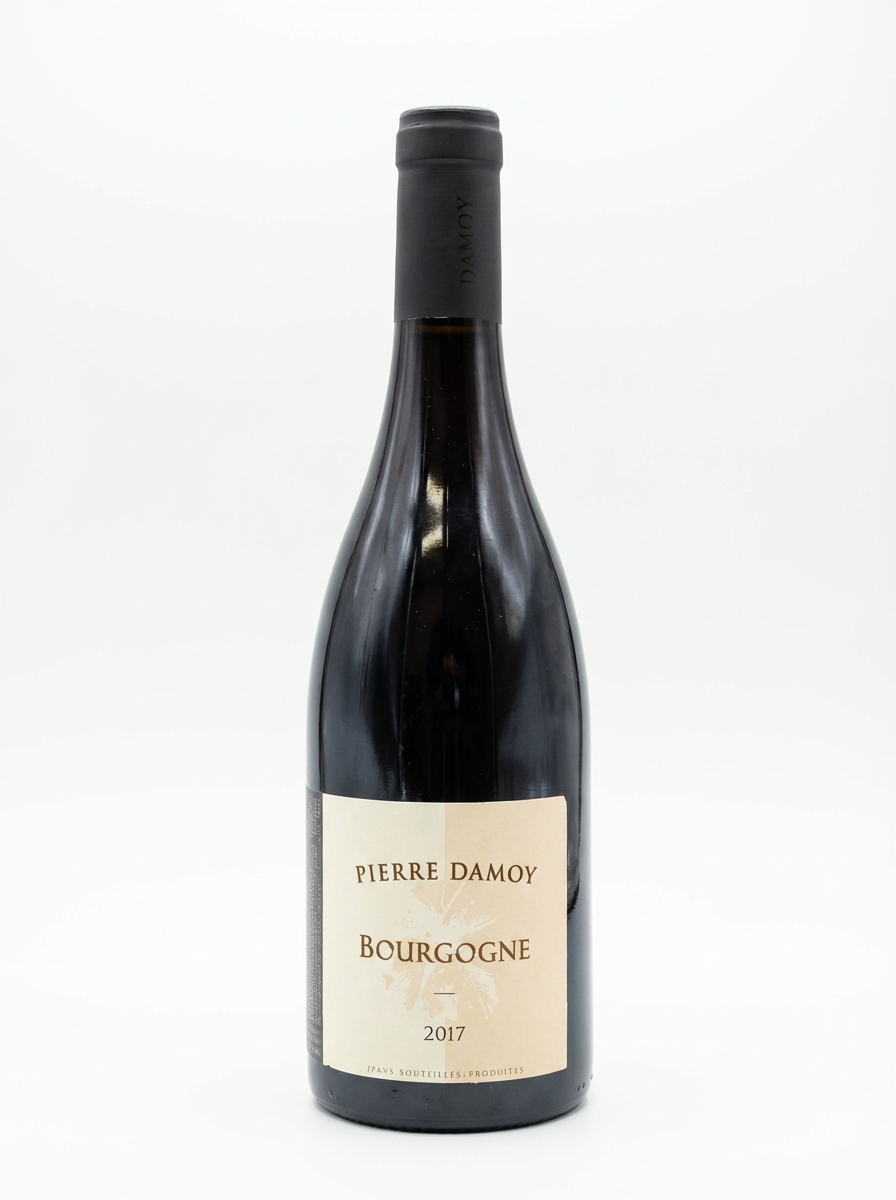 피에르 다모이 부르고뉴 피노 누아 2017