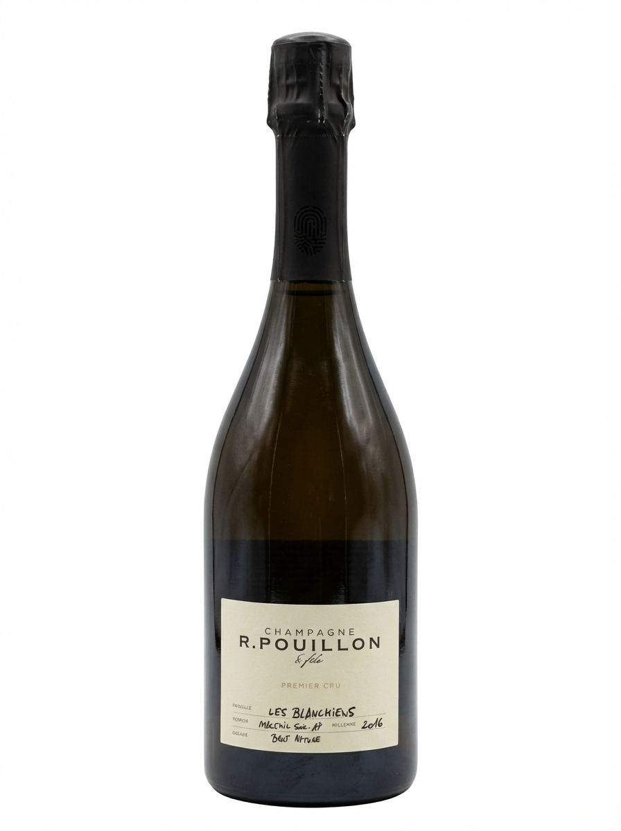 R 푸이용 프르미에 크뤼 레 블랑쉬앙 브뤼 나튀르 2016