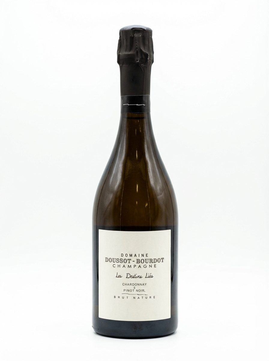 두쏘 부르도 레 데스탕 리에 브뤼 나뛰르 R21