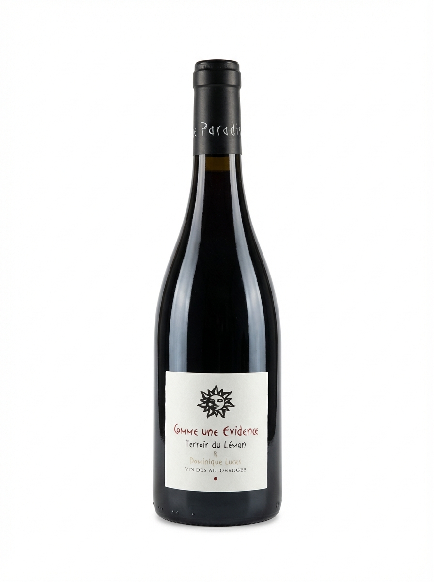 레 비뉴 뒤 파라디 꼼 윈 에비덩스 2021