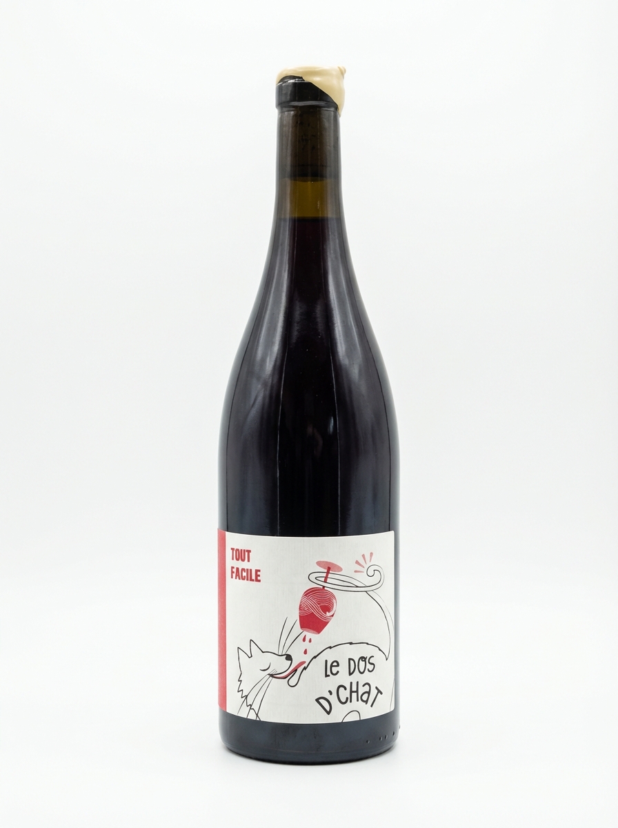 파브리스 도단 르 도 다 샤 토 파실 2023