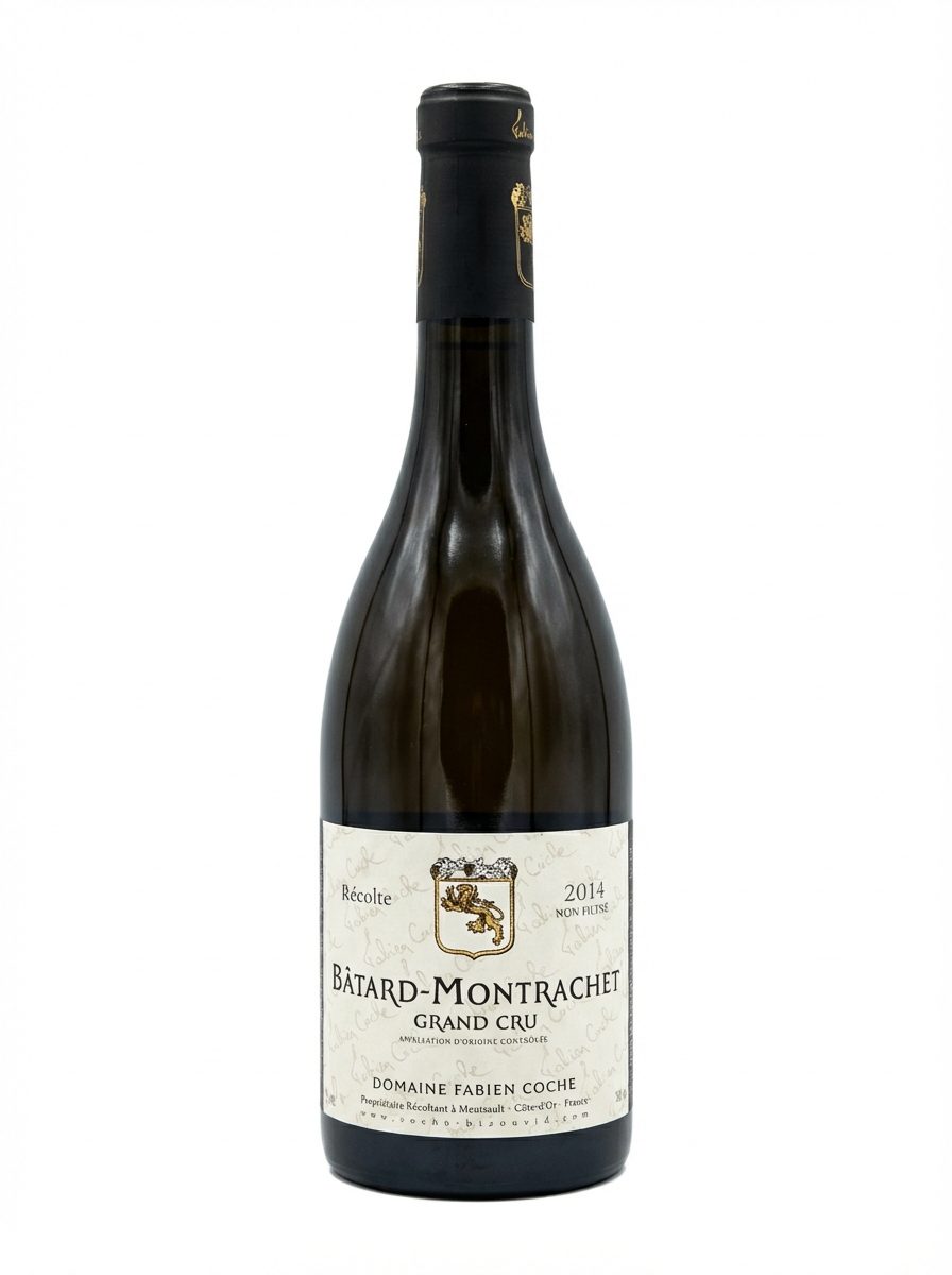 파비앙 코슈 바타르 몽라셰 2014