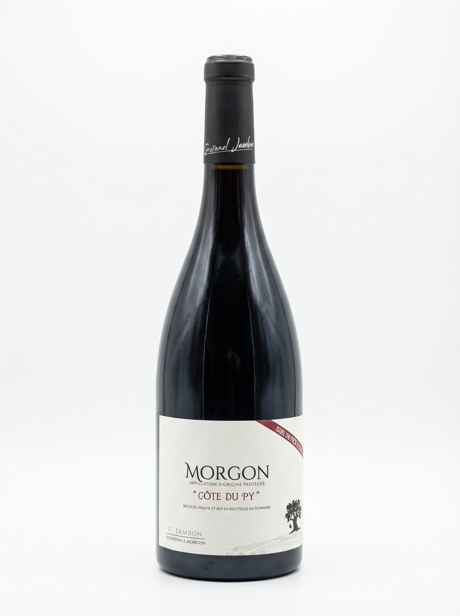 게넬 잠봉 모르공 상 쑤프르 2020