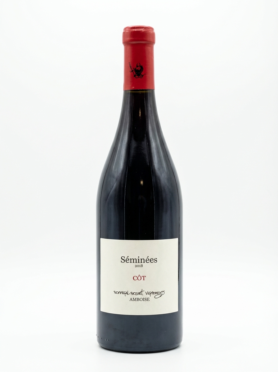 보니갈 보데 투렌 암부아즈 레 세미네 2018