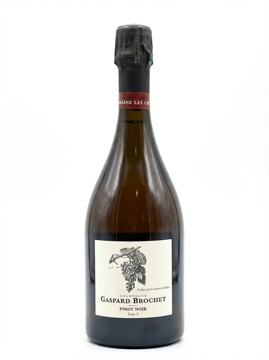 가스파르 브로셰 피노 누아 톰 V