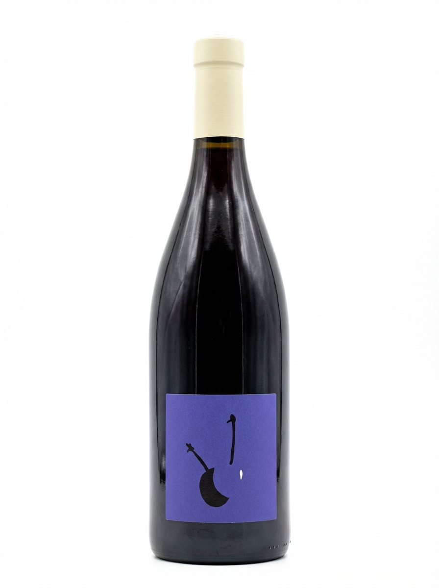 라 포르트 생 장 비튀르카