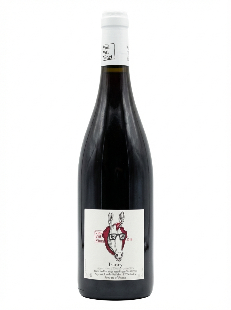 비니 비티 비치 이랑시 2016