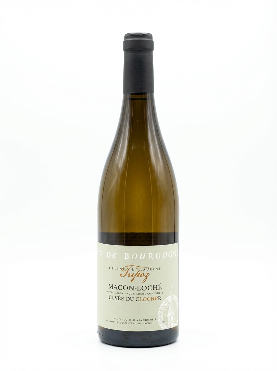 셀린 에 로랑 트리포 마콩 로셰 뀌베 뒤 클로셰 2020