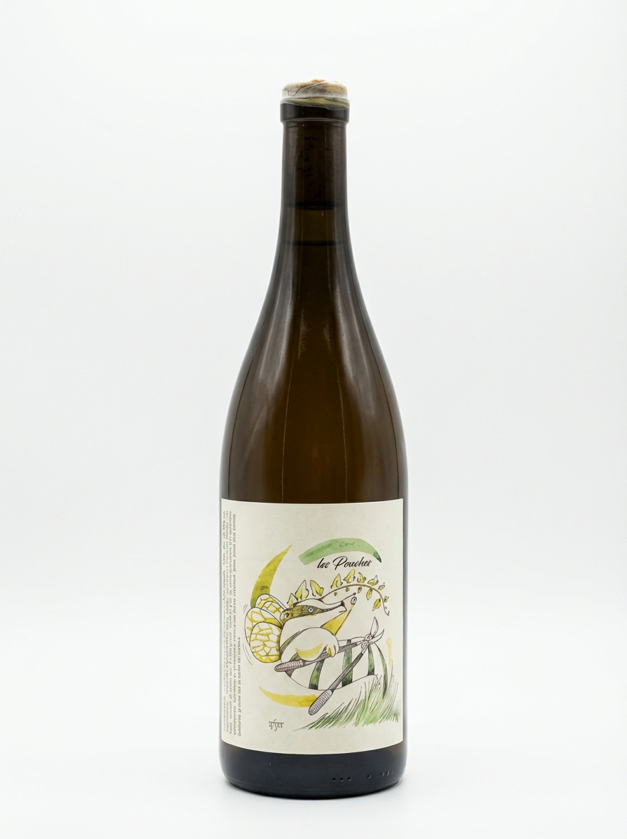 프랑수아 생 로 레 푸쉬 2020