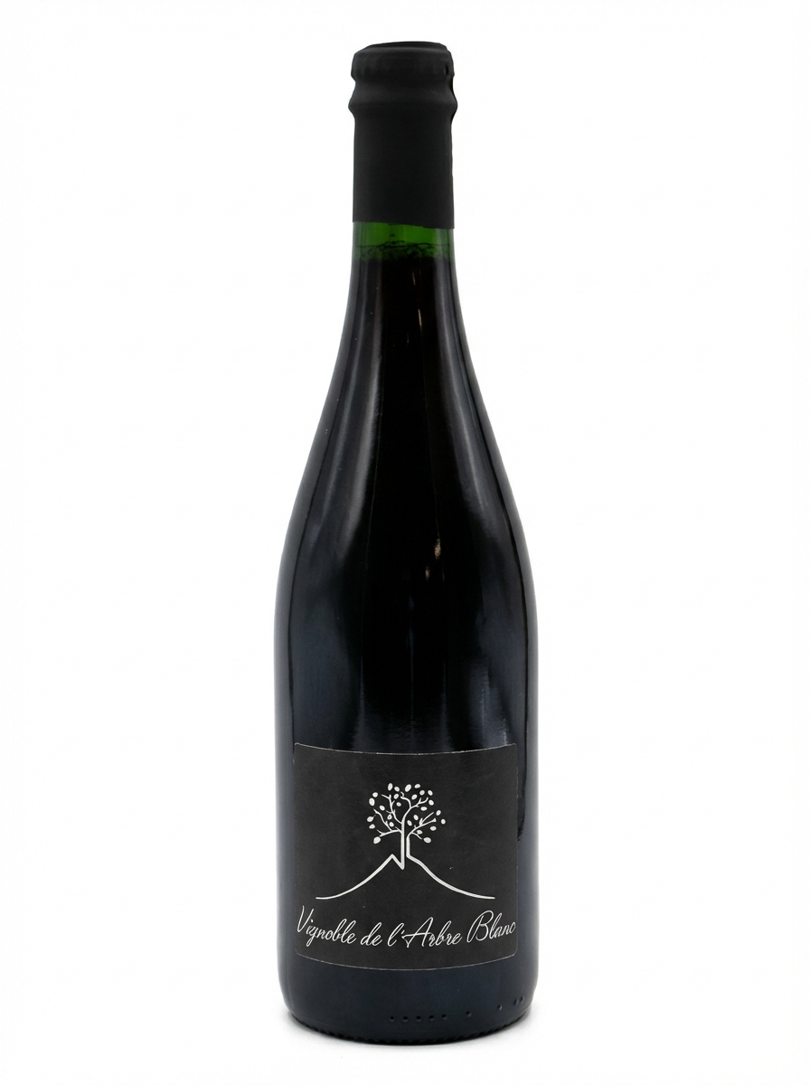 L'Arbre Blanc Les Grandes Orgues Vent