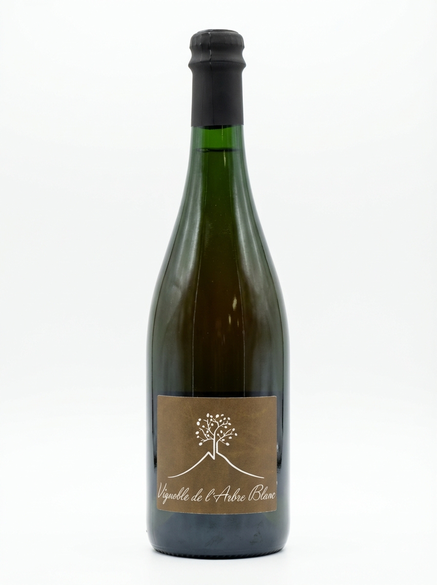 라르브르 블랑 레 페스 방 2023