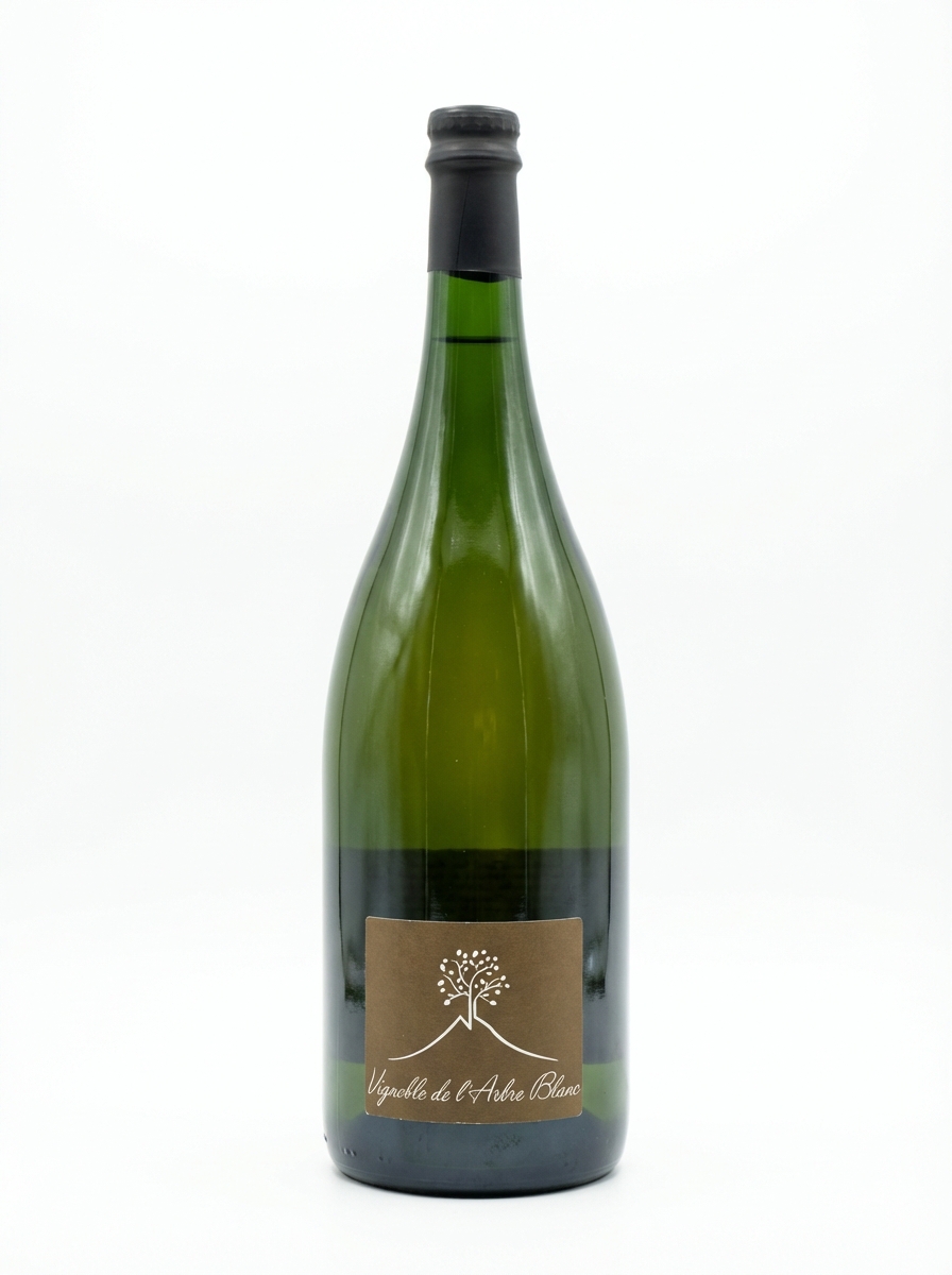 L'Arbre Blanc Ma Carotte Vent 2220