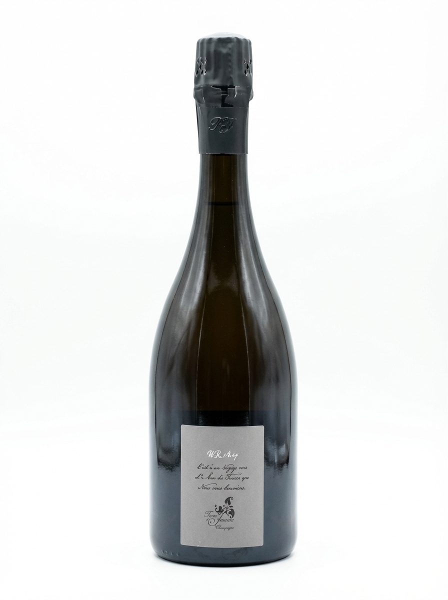 로즈 드 쟌 레 쥐르쉴 2021