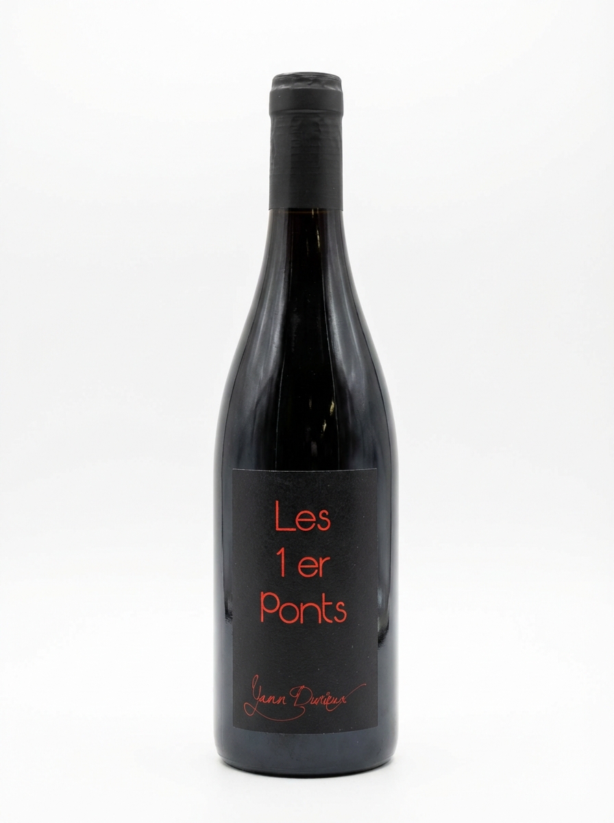 얀 뒤리외 레 프르미에 퐁 L20