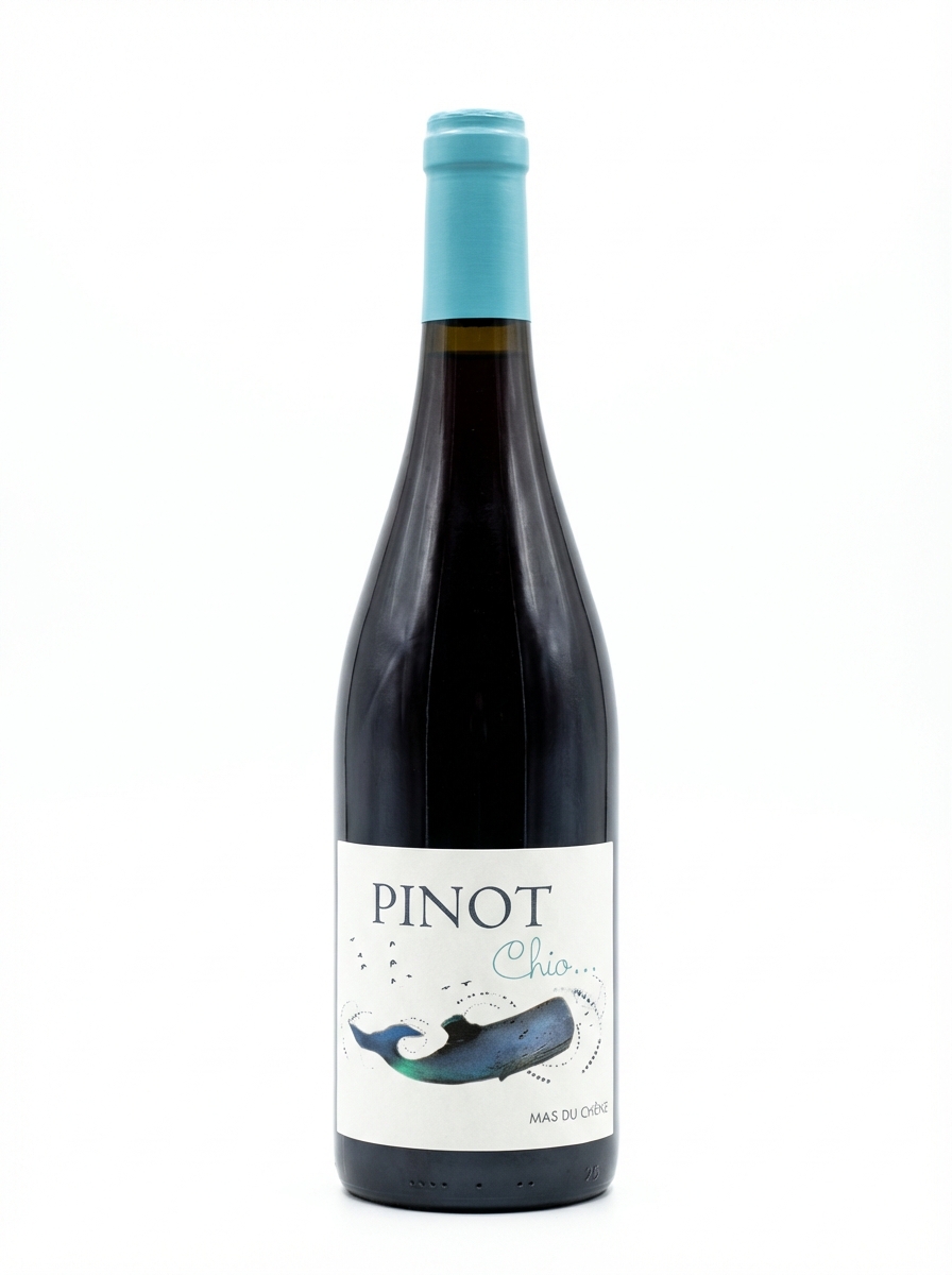 마스 뒤 셴 피노 시오 2023