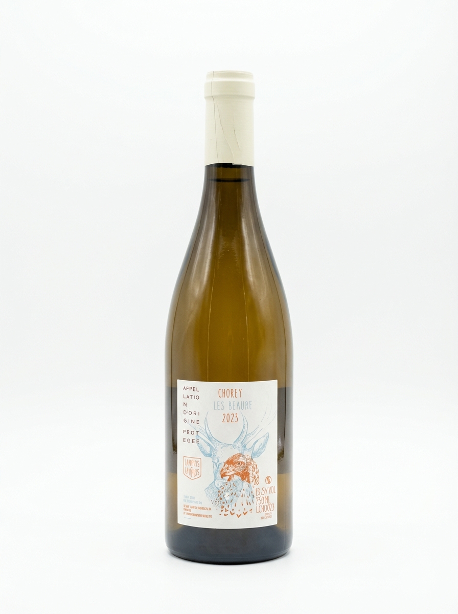 샤퓌즈 쇼레이 레 본 2023