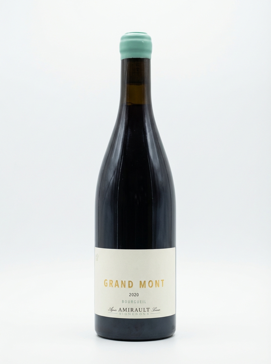 야닉 아미로 부르고일 그랑 몽 2020