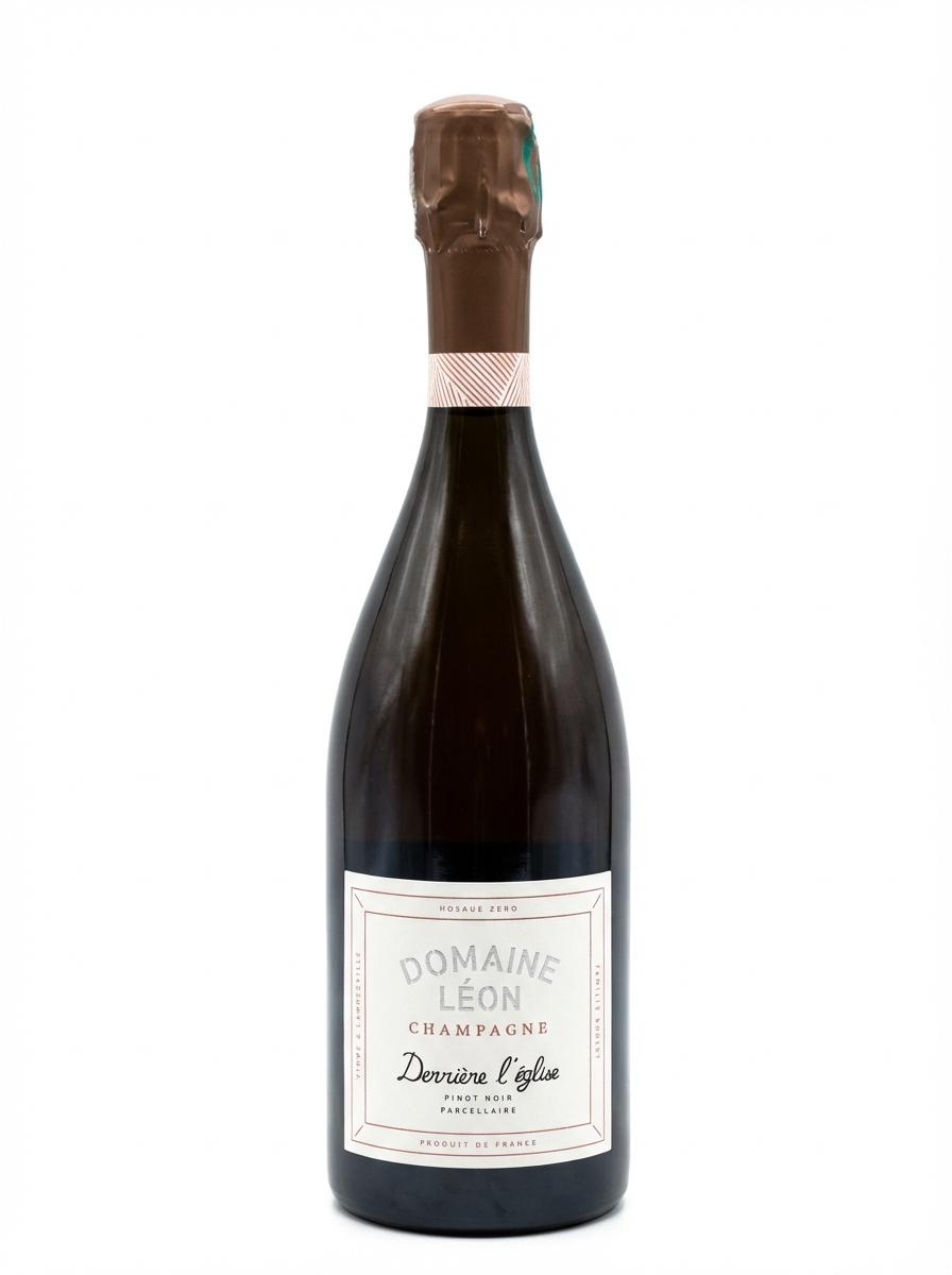 도멘 레옹 데리에르 뢰글리즈 피노 누아