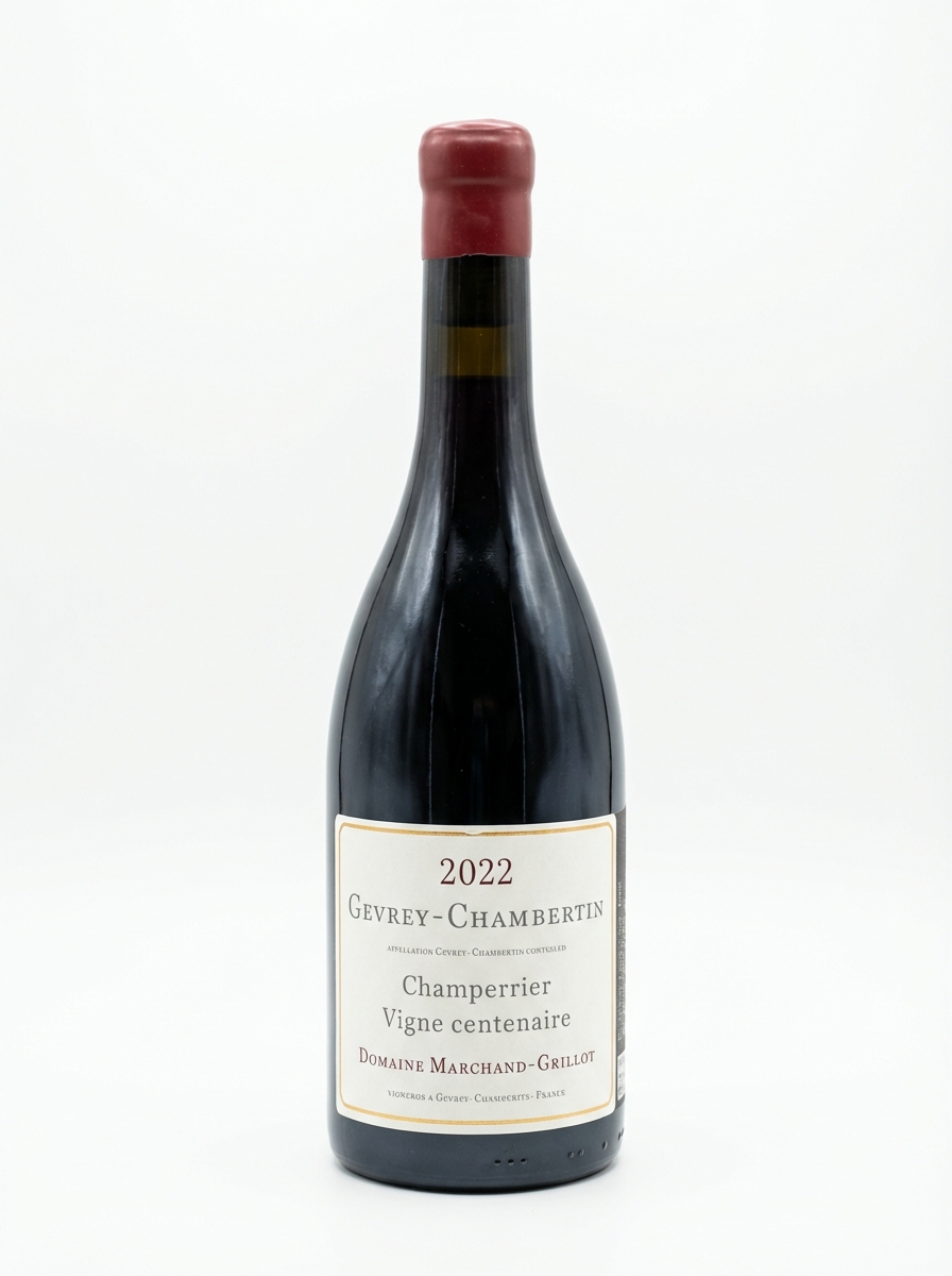 마샹 그릴로 쥬브레 샹베르탱 샹페리에 2022