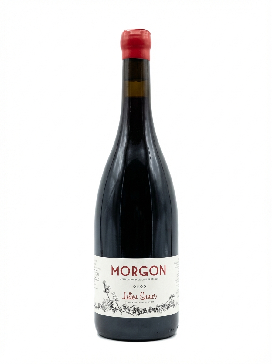 줄리앙 쏘니에 모르공 2022