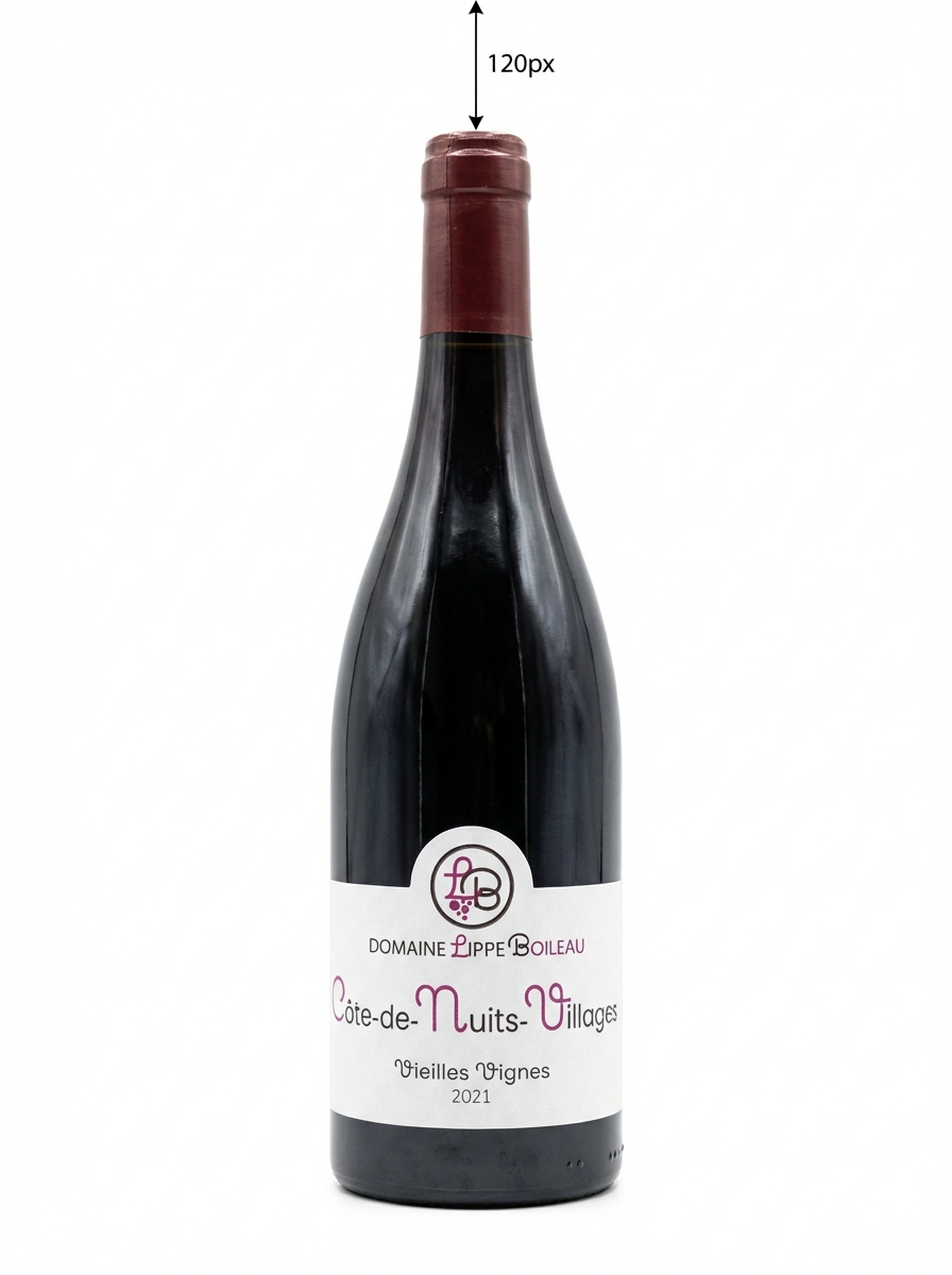 리페 볼레오 코트 드 뉘 빌라주 비에이 비뉴 2021