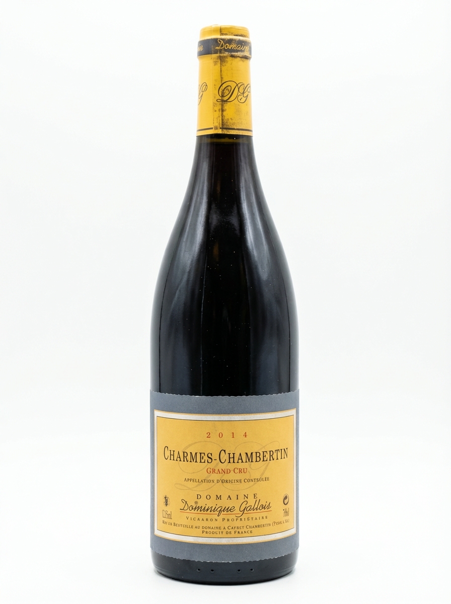 도미니크 갈루아 숌 샹베르탱 2014