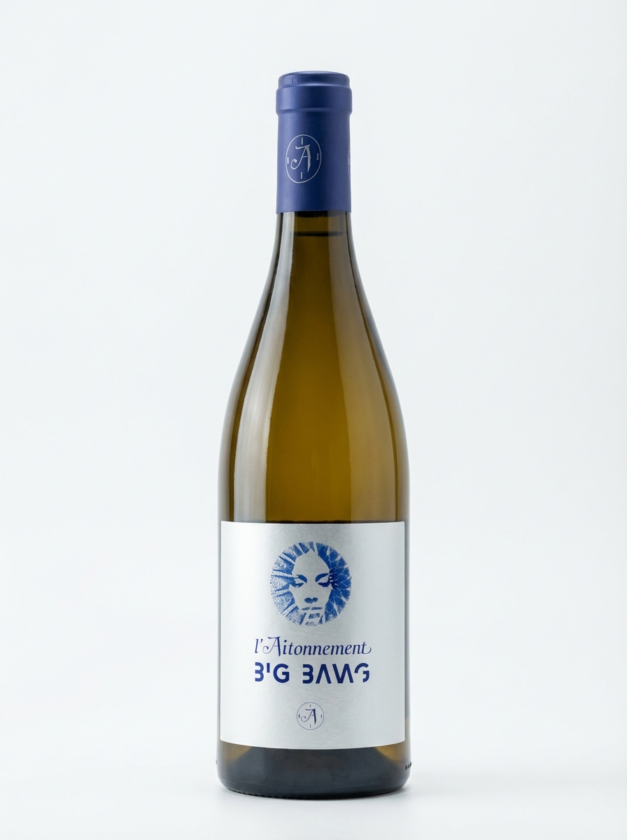 레토느망 빅뱅 2021