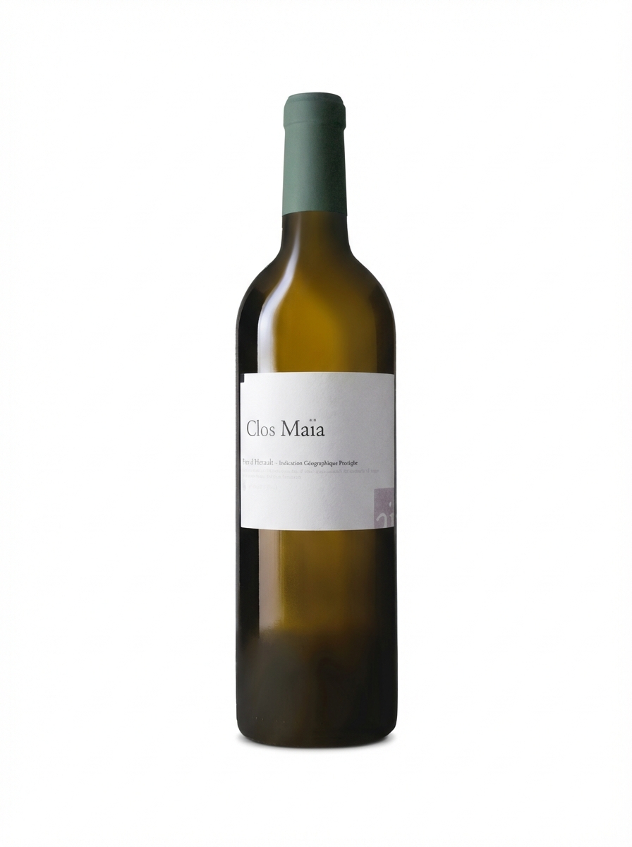 클로 마이아 2020