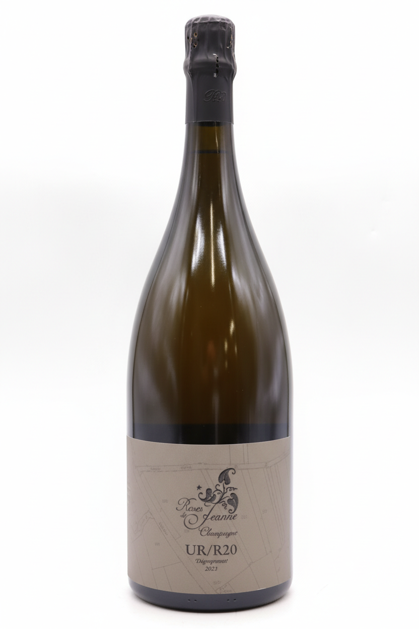 로제 드 잔 레 위르술 R20