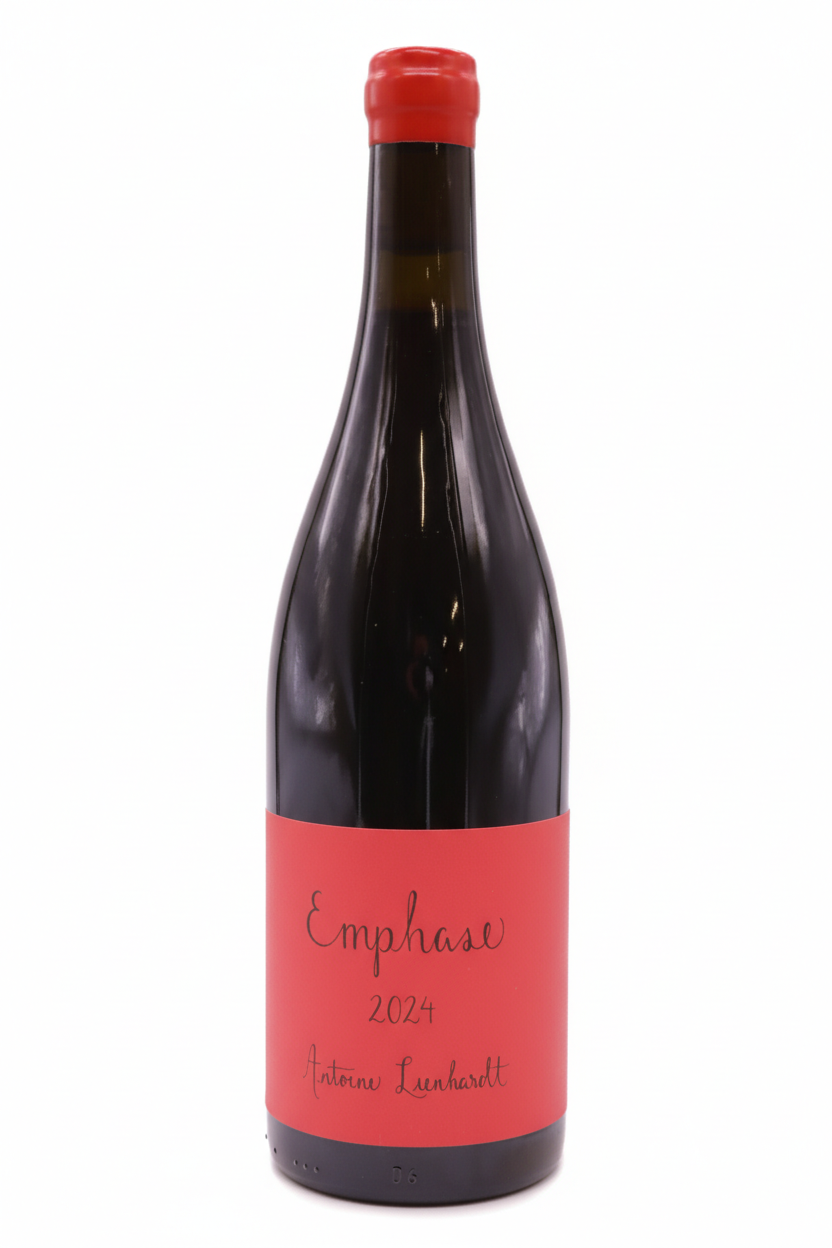 앙투안 리엔하르트 코트 드 뉘 앙파즈 2024