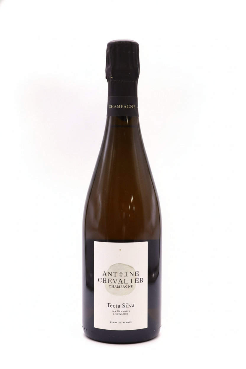 앙투안 슈발리에 브뤼 나투르 텍타 실바 2020