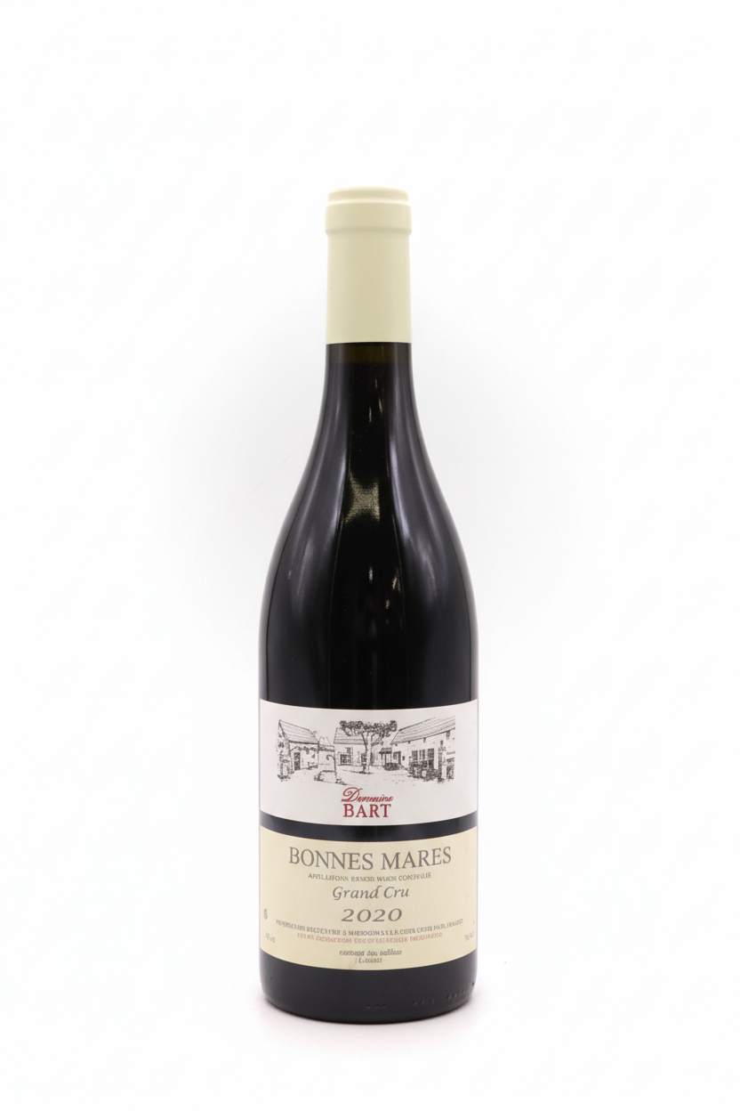 바트 본 마르 2020