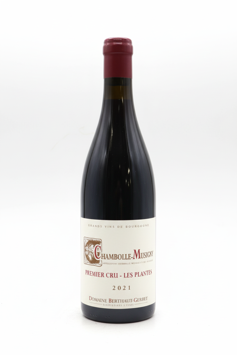 베르토 제르베 샹볼 뮈지니 프르미에 크뤼 레 플랑트 2021