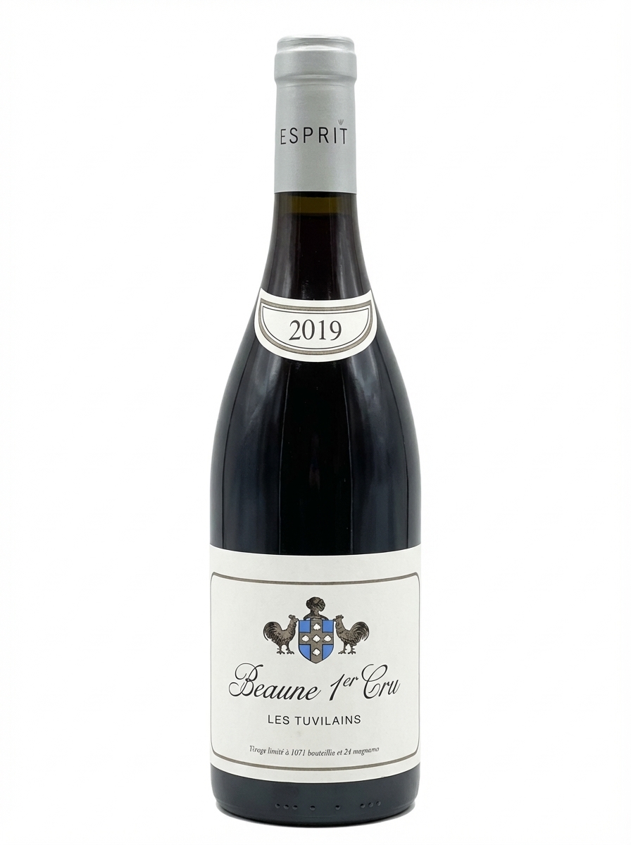 에스프리 드 르플레브 본 프리미에 크뤼 레 튀빌랭 2019