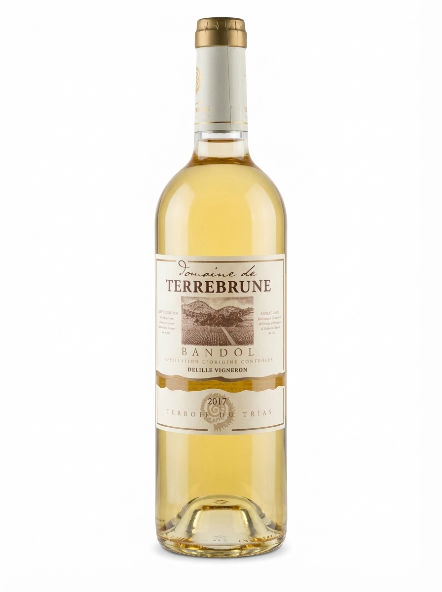 떼르브륀 방돌 2017