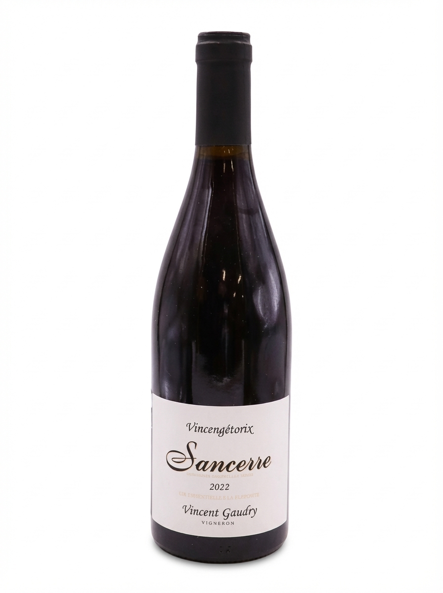 뱅상 고드리 상세르 뱅상제토릭스 2022