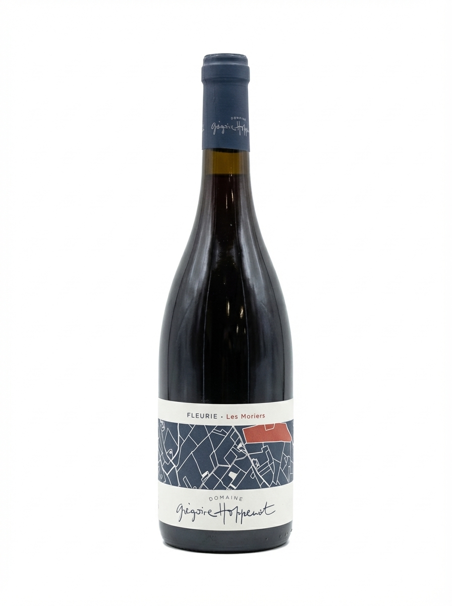 그레고리 오프노 플뢰리 레 모리에 2020